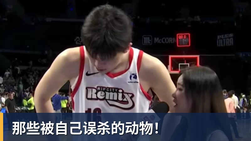 曾是歌坛一代天王,却沦为臭名昭著的台独分子,今家破人亡下场惨 - NBA下注 - NBA下注(中国)官方网站